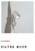 FLOWER1;SILVER MOON
