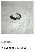FLOWER8;FLAMMULINA