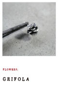 FLOWER9;GRIFOLA