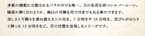 多数の種類に分類されるバラの中でも唯一、月の名前を持つシルバームーン。闇夜に輝く月のように、純白の可憐な花で日本でも見る事のできます。美しさと可憐さを兼ね備えたこの花を、7分咲きや10分咲き、花びらがはらりと舞った12分咲きなど、花の状態を表現したシリーズです。