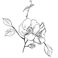 Fillyjonk SILVERMOON